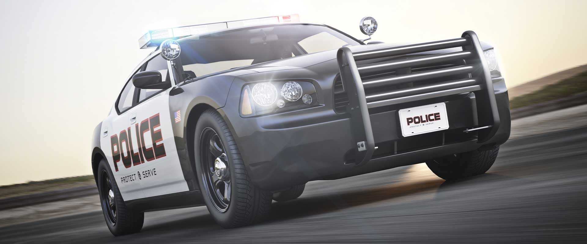 Our Professional Services | Cutty Protection & Security